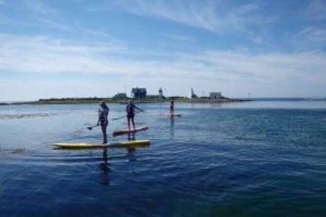 1 Hour Guided SUP/Kayak Tour in Pelican Bay at Fort Myers Beach - Frequently Asked Questions (FAQs)