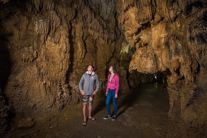 1-Hour Guided Tour of Aranui Cave Waitomo - Why Choose the Aranui Cave Guided Tour?