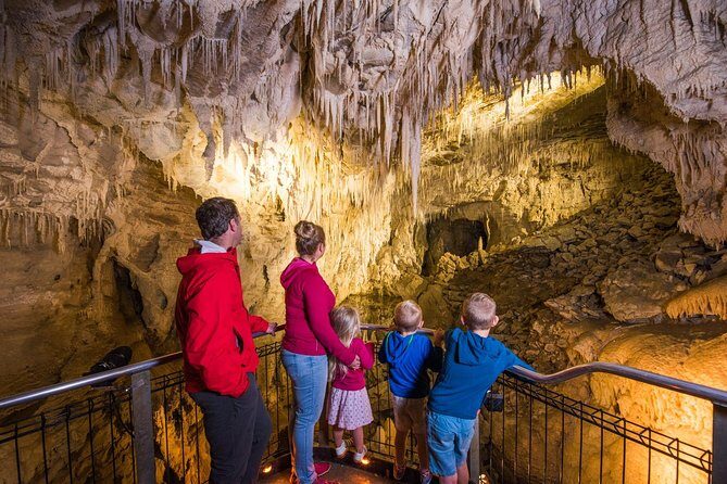 1-Hour Guided Tour of Aranui Cave Waitomo - The Experience: What Youll Learn and See