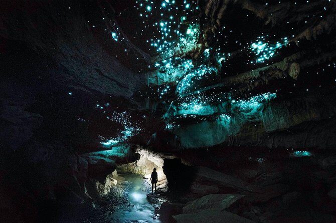 1-Hour Guided Tour of Aranui Cave Waitomo - Practicalities and Value