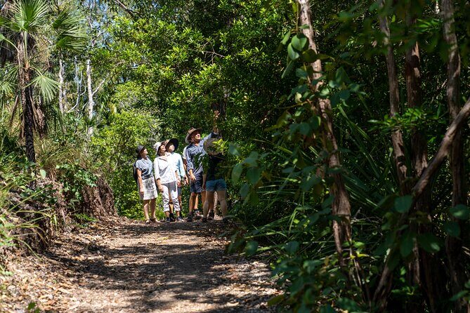 1 Hour Jumping Crocodile Cruise on the Adelaide River - Authentic Encounters and Conservation Focus