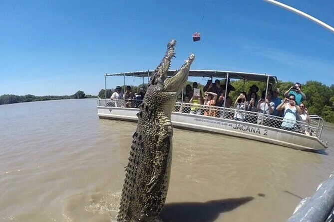 1 Hour Jumping Crocodile Cruise on the Adelaide River - FAQ