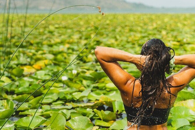1-hour Kayak Adventure through Skadar Lake from Virpazar - Key Points