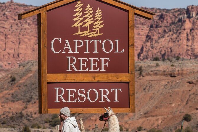 1-Hour Llama Hike Family Friendly and Fun - Why This Tour Offers Great Value