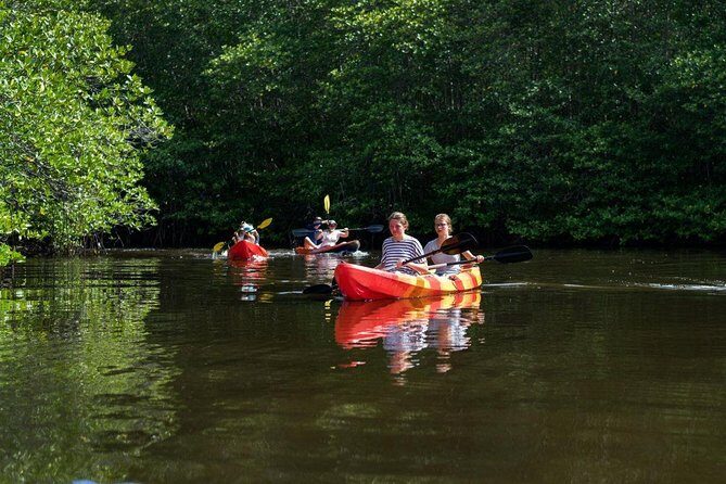 1 Hour Mangrove Tour From Lembongan with Kayak, Paddle, or Boat - What You Can Expect: A Step-by-Step Breakdown