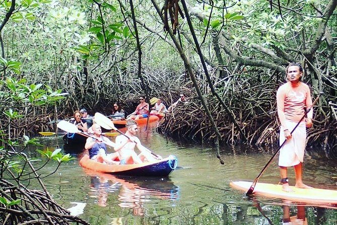 1 Hour Mangrove Tour From Lembongan with Kayak, Paddle, or Boat - The Practical Side: Transportation, Timing, and Group Size