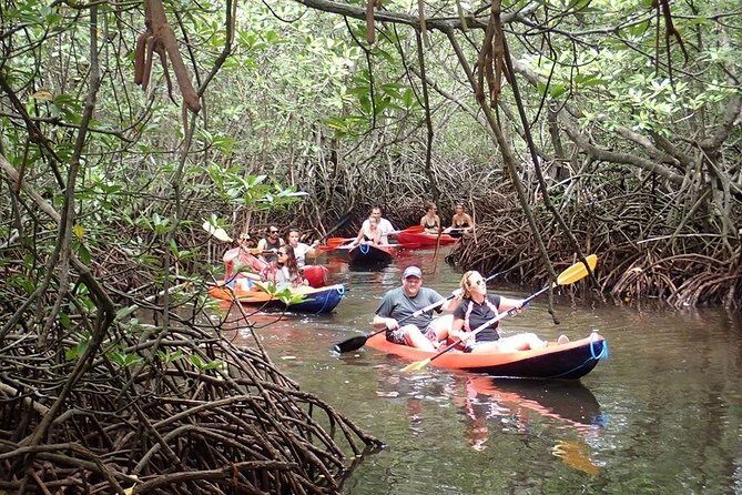 1 Hour Mangrove Tour From Lembongan with Kayak, Paddle, or Boat - Final Thoughts: Who is This Tour Best For?