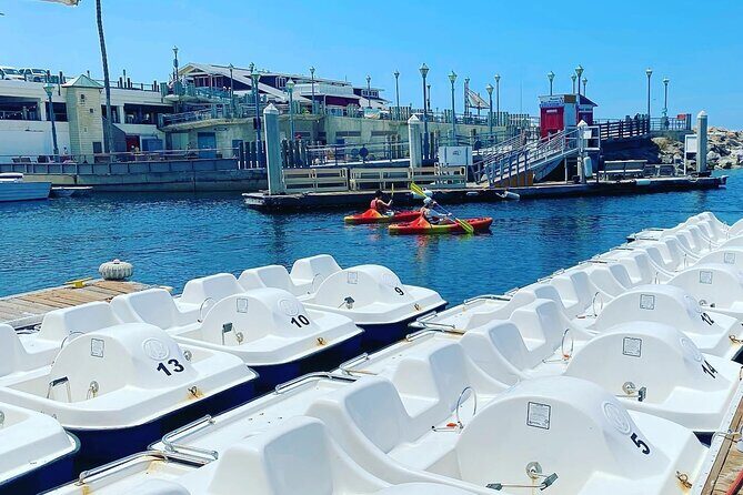 1-Hour Pedal Boat Rental in Redondo Beach - Introduction: A Gentle Paddle in Redondo Beach