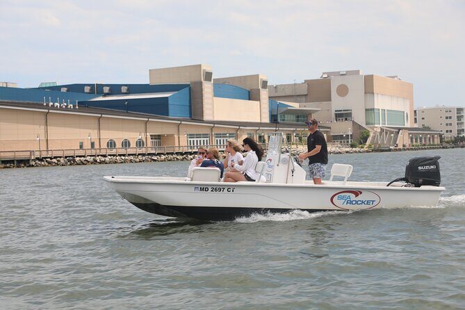 1-Hour Private Party Assateague Island Pony Cruise in Ocean City - Exploring the 1-Hour Private Assateague Island Pony Cruise in Ocean City