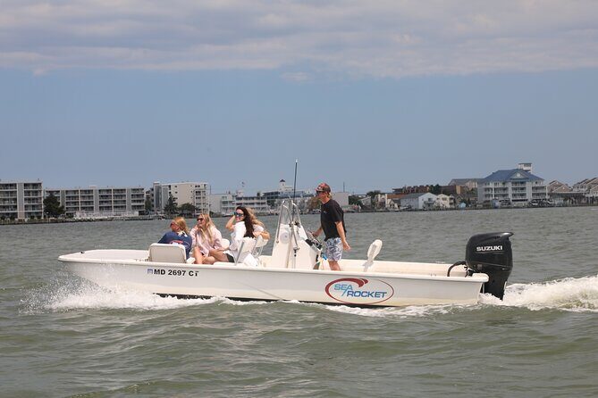 1-Hour Private Party Assateague Island Pony Cruise in Ocean City - The Scenic Highlights and Wildlife Encounters