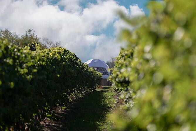 1 Hour Private Vineyard Dome Experience in Niagara-on-the-Lake - Final Thoughts