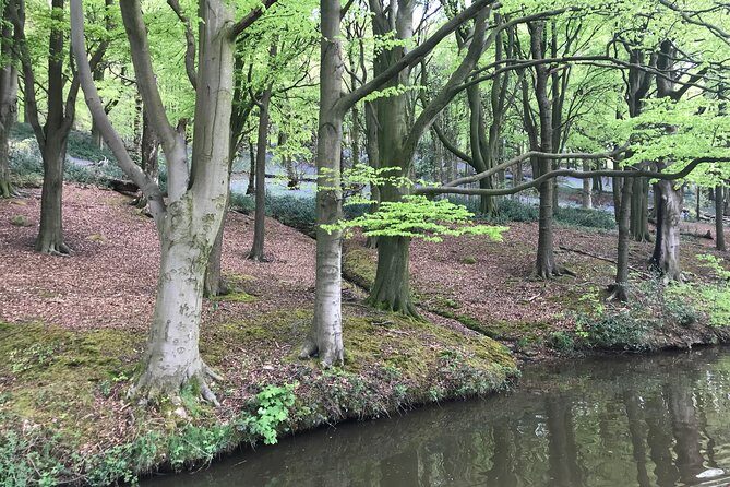 1-Hour Public Cruise - An In-Depth Look at the 1-Hour Public Cruise