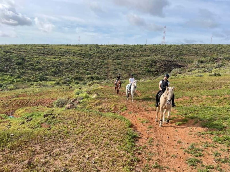 1 hour relaxing horse riding tour in Gran Canaria - The Initial Introduction and Practice