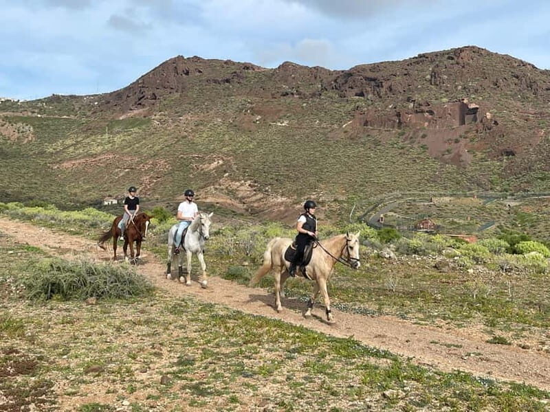 1 hour relaxing horse riding tour in Gran Canaria - What’s Included and What You Need to Bring