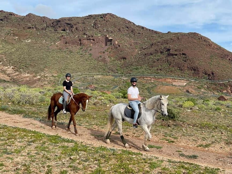 1 hour relaxing horse riding tour in Gran Canaria - Practical Details and Logistics