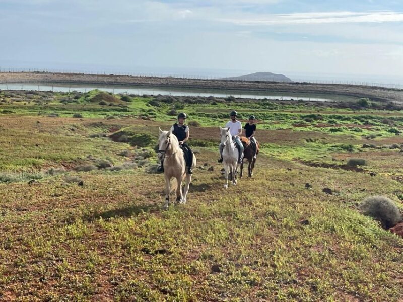 1 hour relaxing horse riding tour in Gran Canaria - Price and Value