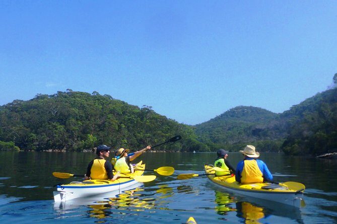 1 Hour Rental Deluxe Double Sea Kayak - Discovering Sydney from the Water