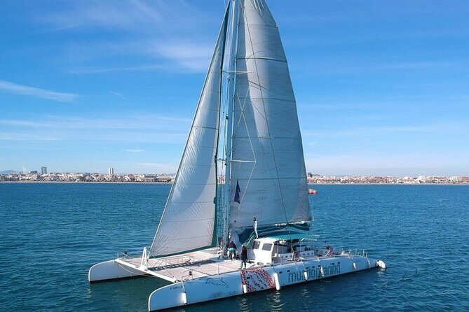 1 Hour Sailing Excursion in Valencia - Authentic Insights from Reviewers