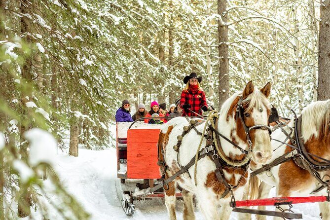 1 Hour Shared Winter Sleigh Ride Experience in Kananaskis - Key Points