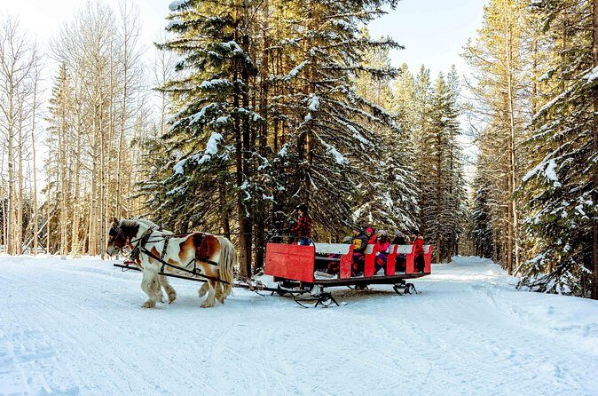 1 Hour Shared Winter Sleigh Ride Experience in Kananaskis - Analyzing the Value