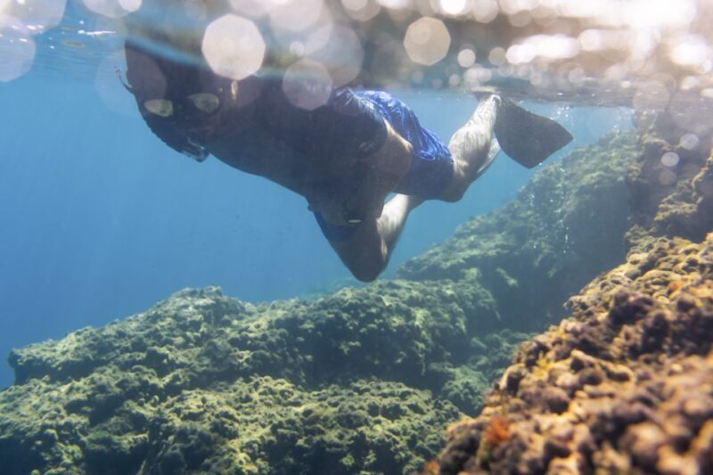 1-Hour Snorkeling Tour in Paraggi Bay, Portofino - What Travelers Say