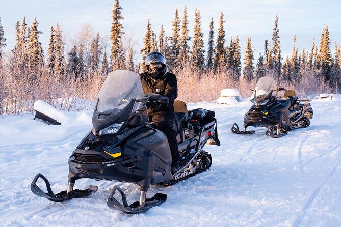 1 Hour Snowmobile Adventure in Boreal Forest - Frequently Asked Questions