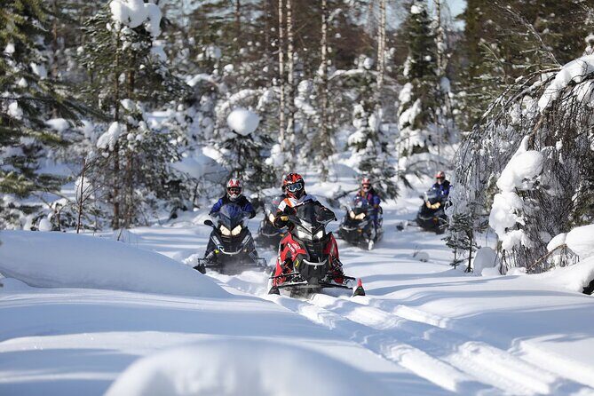 1-Hour Snowmobile Safari Adventure in Rovaniemi - What to Expect from Your Snowmobile Safari