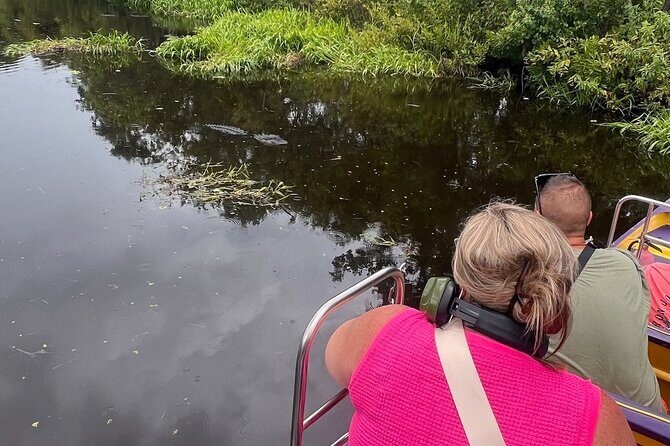 1 Hour Sunset Airboat Tour - The Scenic Views and Wildlife Encounters