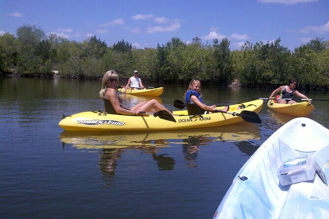 1-Hour Tandem Kayak Rental with Manatee & Dolphin sightings - Introduction
