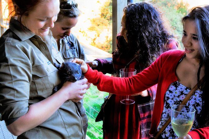 1-Hour Tasmanian Devil Feeding Day Tour at Cradle Mountain - The Sum Up: Who Should Consider This Tour?