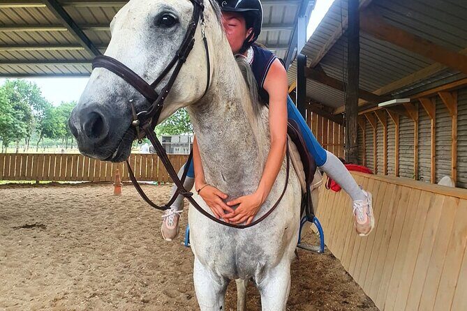 1-hour tourist walk with guide - The Experience in Detail