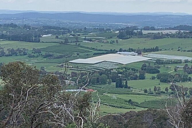 1 Hour Trike Tour for 2 in Mount and Lake Canobolas - An In-Depth Look at the Experience