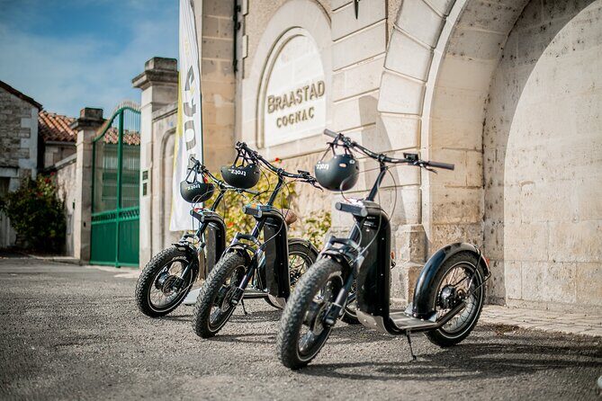 1 hour walk - The Gabarres river route - Exploring the Gabarres River Route on All-Terrain Electric Scooters in Cognac