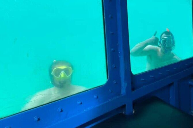 1 hr Reef Explorer in Port Vila harbour, Vanuatu - Who Will Love This Tour?