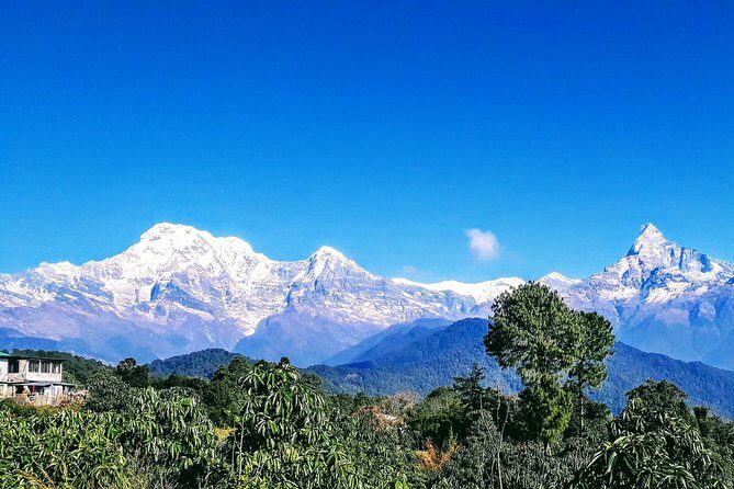 1 Night 2 Days Best Hiking in Pokhara - A Closer Look at the Hiking Experience