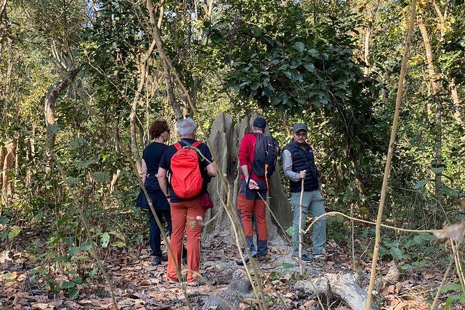 1 Night 2 Days Chitwan Jungle Safari Tour from Kathmandu - Transportation & Group Size