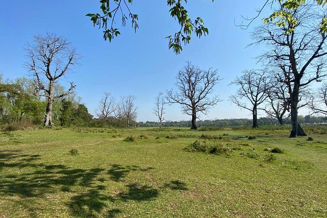 1 Night 2 Days Chitwan Jungle Safari Tour from Pokhara - FAQ