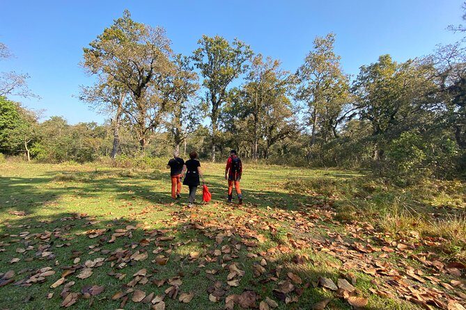 1 Night 2 Days Chitwan Jungle Safari Tour from Pokhara or Kathmandu - Exploring Chitwan National Park