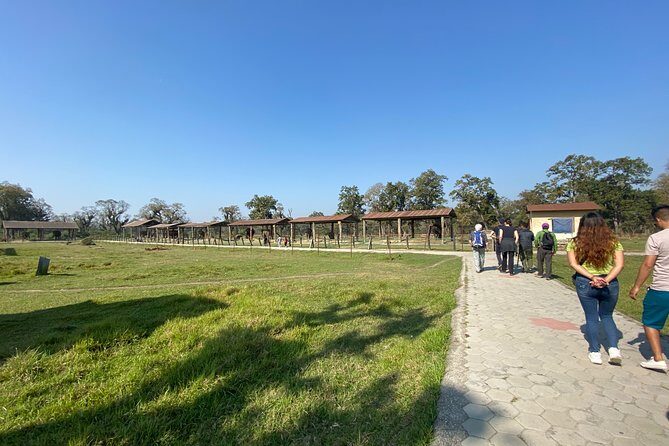 1 Night 2 Days Chitwan Jungle Safari Tour from Pokhara or Kathmandu - The Realities: Benefits and Drawbacks