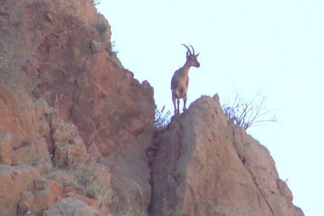 1 night 2 days to Tatev monastery - A Complete Look at the 2-Day Armenia Experience