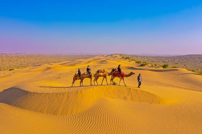 1-Night and 2-Days Thar Desert Safari Tour - Who Should Consider This Tour