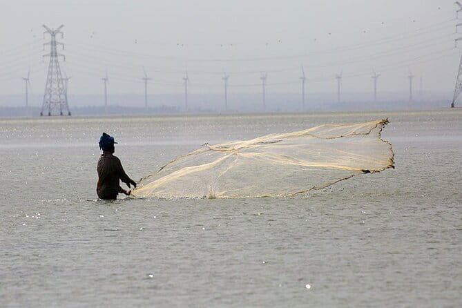1 Night Fishing Village Experience In Kalpitiya From Negombo - Who Is This Tour Best For?