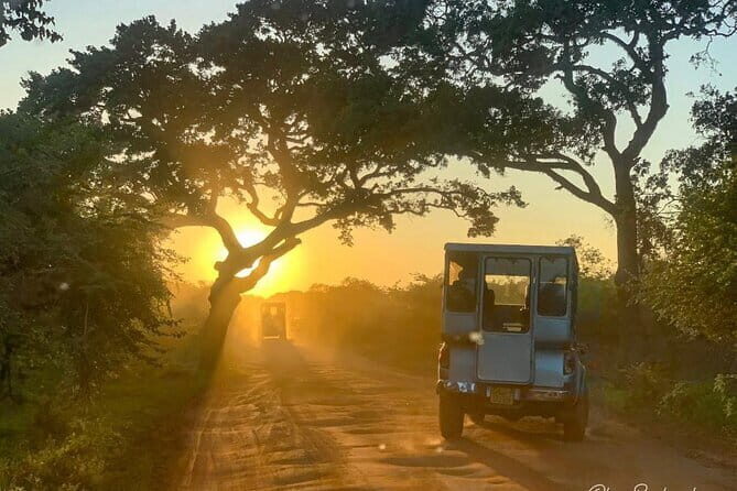 1 Night Fishing Village Experience In Kalpitiya From Negombo - Final Thoughts