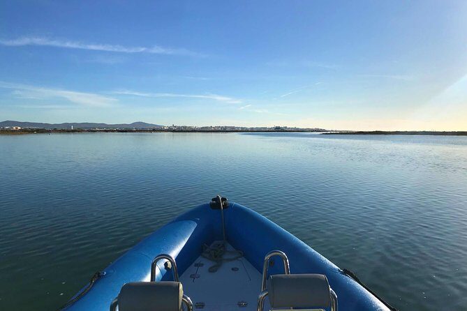 1 or 2 Hour Speed Boat Tour - Ria Formosa - An In-Depth Look at the Ria Formosa Speedboat Tour