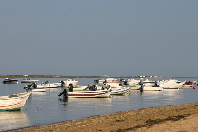1 or 2 Hour Speed Boat Tour - Ria Formosa - Final Thoughts