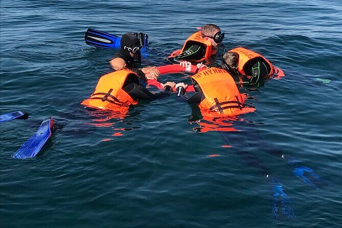 #1 Snorkel La Paz Mexico All Iconic Sites at Once private trip - Who Will Love This Tour?