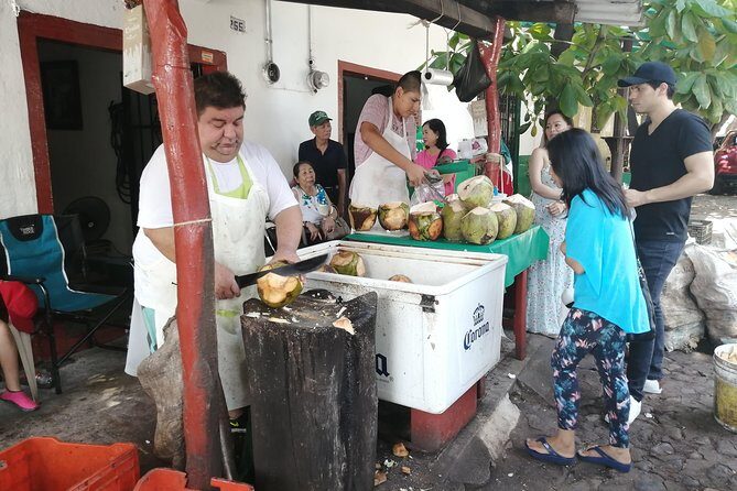 1 to 10 Passengers Vallarta Private City Tour - Who Will Love This Tour?