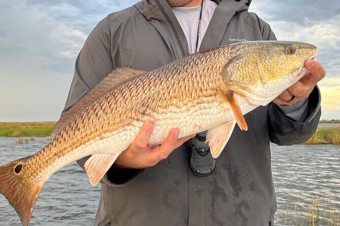 #1 Top Rated - Calm Water Inshore Fishing Charter In Your Area - Discover Sarasota’s Calm Water Inshore Fishing Charter
