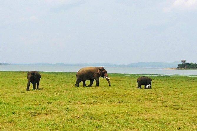 10 Day Explore Sri Lanka - Final Words