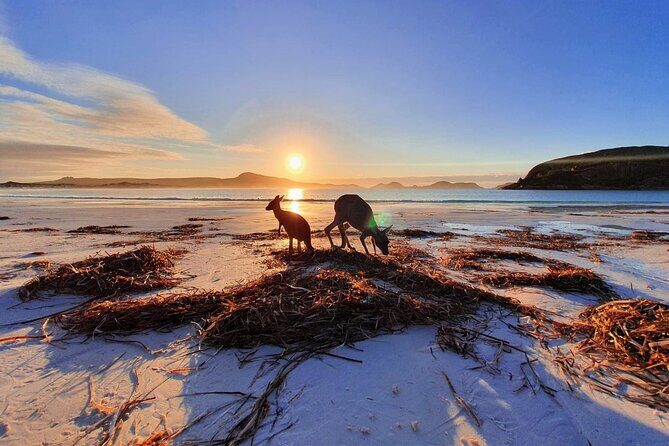 10-Day Perth to Adelaide Adventure Tour - What Makes This Tour Stand Out?